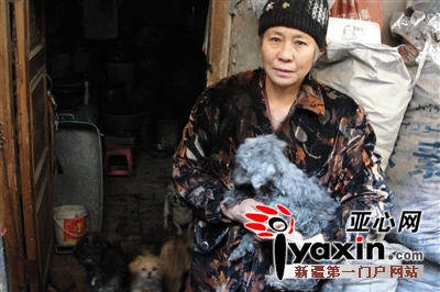 新疆喀什市：樊阿姨4年收养318条流浪狗