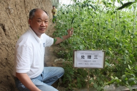 樊明宪