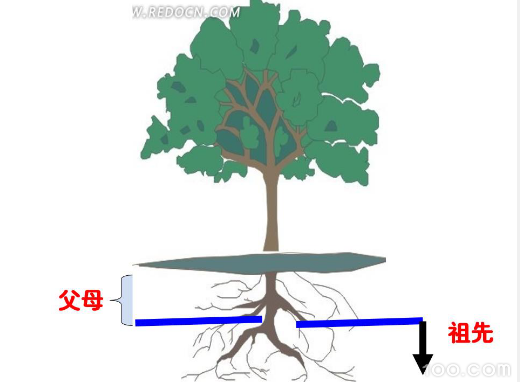 屏幕快照 2014-12-28 下午1.36.58.png
