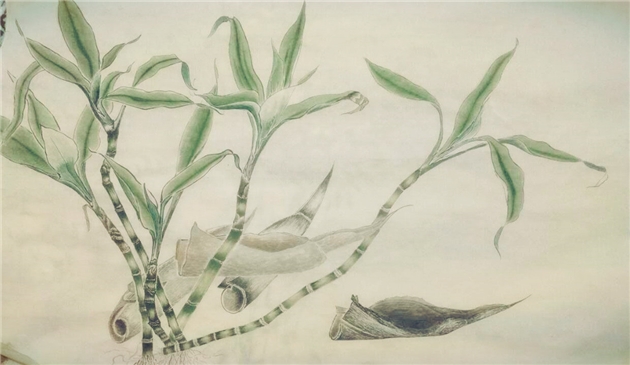 赏樊索莉新作